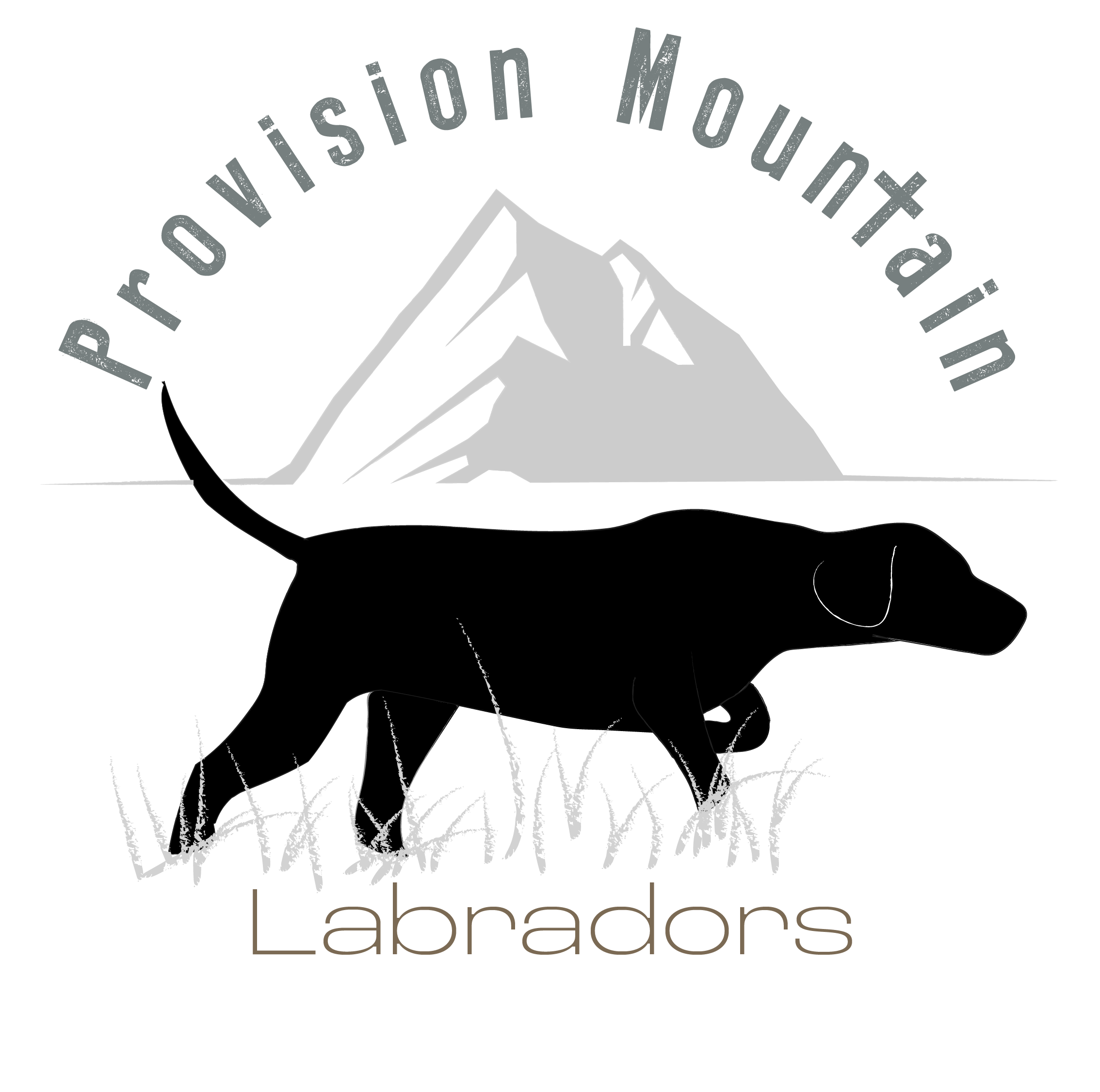 Provision Mountain Pointing Labs